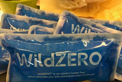 WildZERO 2 520x350